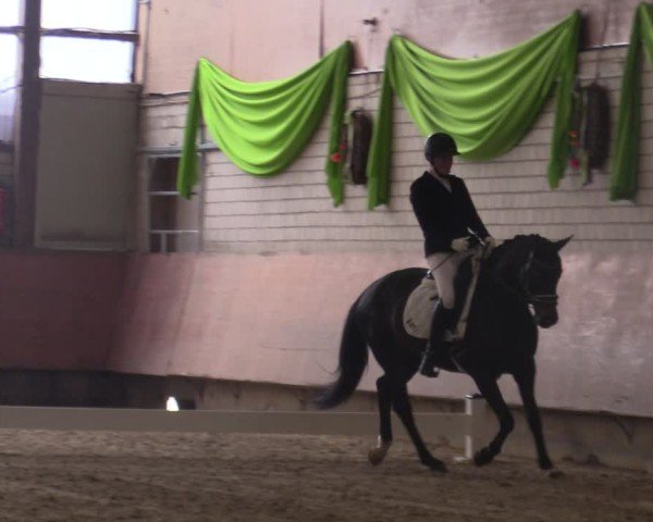 Reitturnier Hellefeld 2025