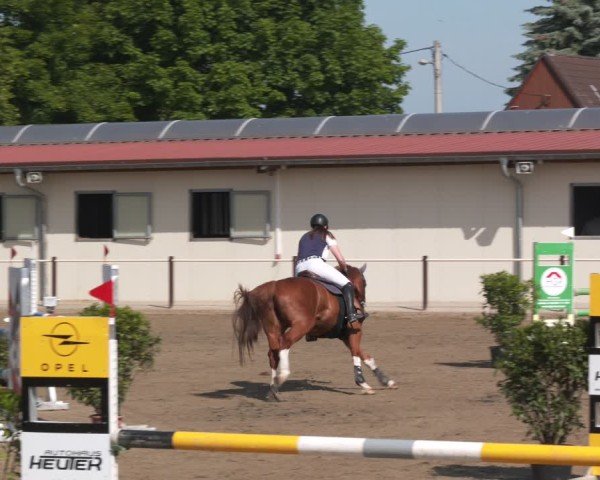 Reitturnier Kitzscher / Reitanlage Heuter 2025
