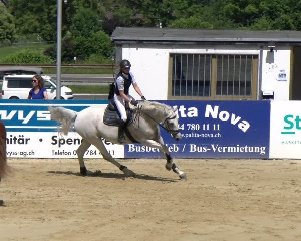 Reitturnier Wädenswil 2025