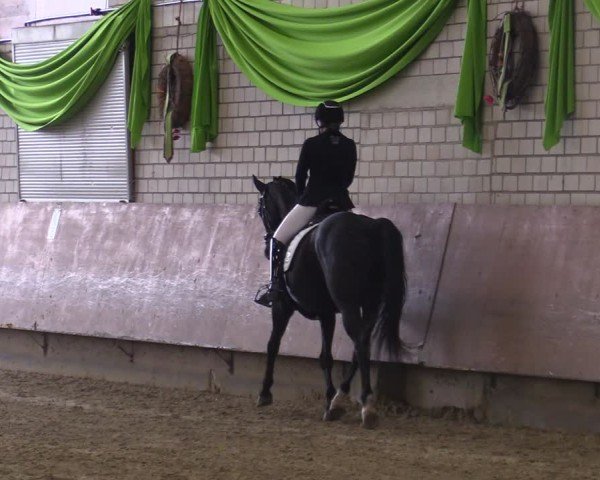 Reitturnier Hellefeld 2025