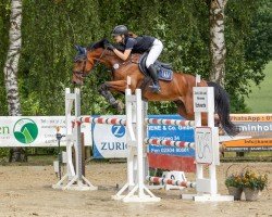 jumper Clemens 73 (German Sport Horse, 2015, from Carl Albert von Perm)