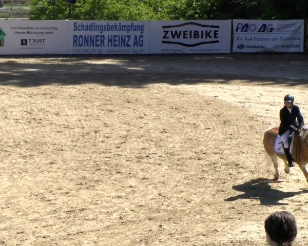 Reitturnier Wädenswil 2025