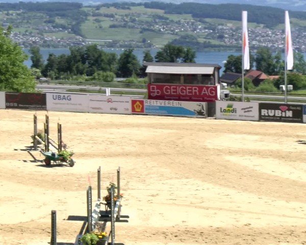 Reitturnier Wädenswil 2025