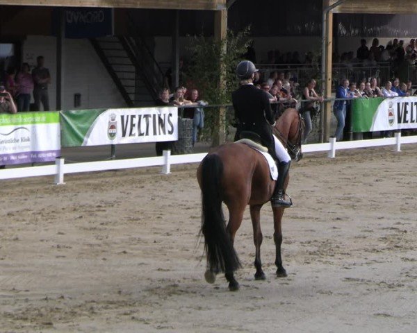 Reitturnier Hellefeld 2025