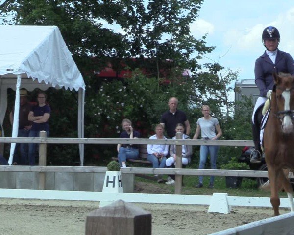 Reitturnier Scharnebeck 2025