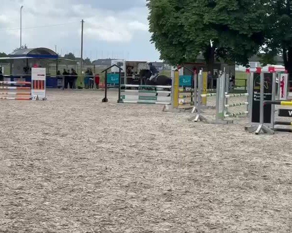 Reitturnier Sontheim/Brenz 2025