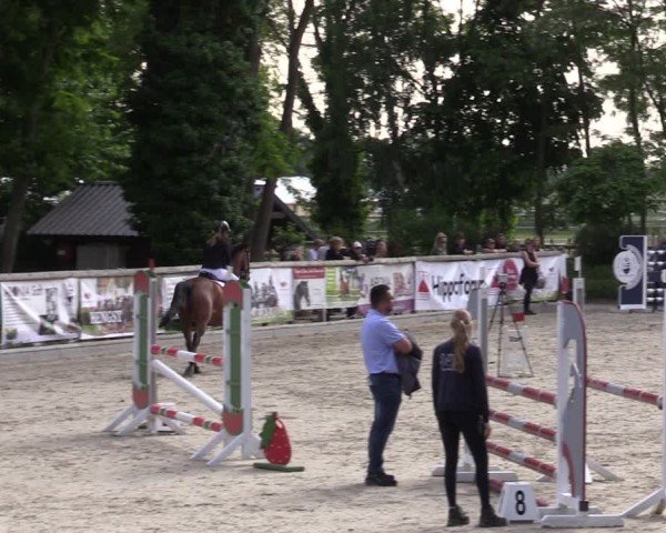 Reitturnier Ruhlsdorf 2025