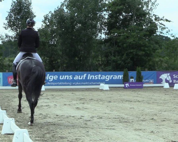 Reitturnier Scharnebeck 2025