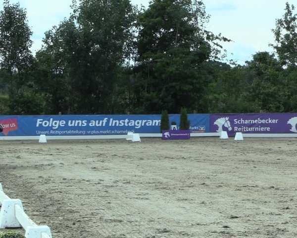Reitturnier Scharnebeck 2025