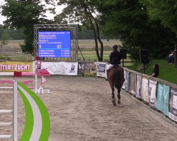Reitturnier Ruhlsdorf 2025
