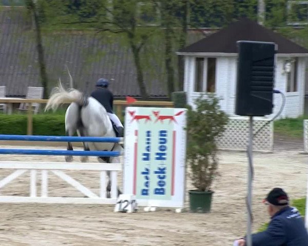 Damme 2014