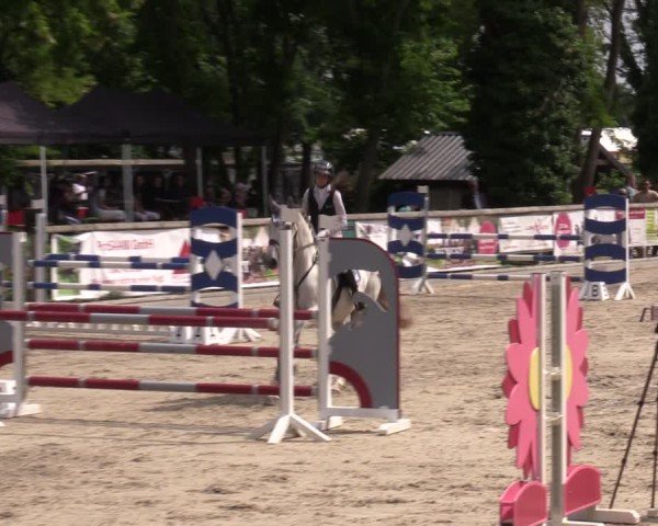 Reitturnier Ruhlsdorf 2025