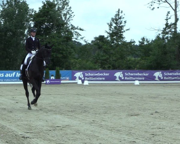 Reitturnier Scharnebeck 2025