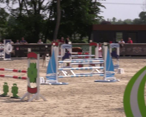 Reitturnier Ruhlsdorf 2025