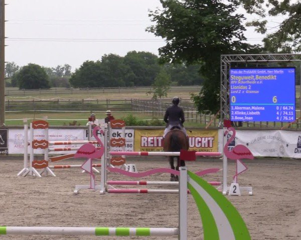 Reitturnier Ruhlsdorf 2025