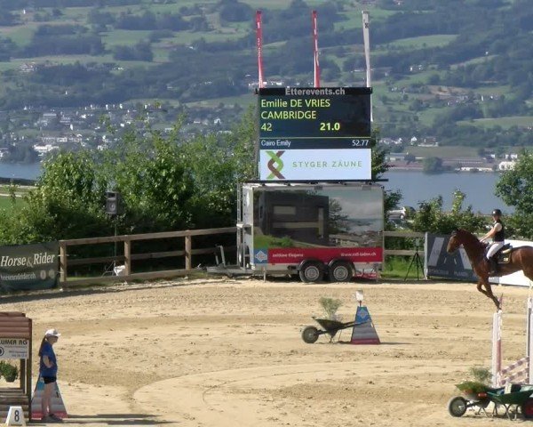 Reitturnier Wädenswil 2025