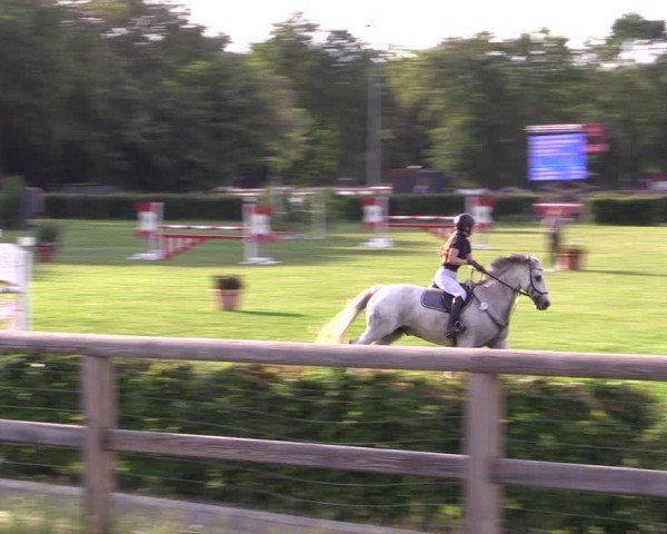 Reitturnier Ruhlsdorf 2025