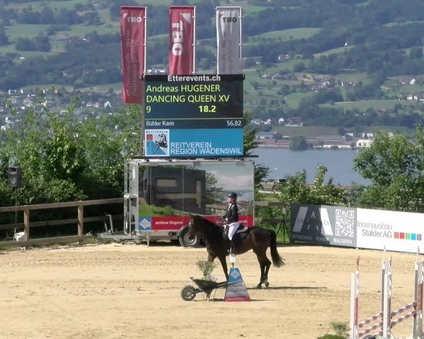Reitturnier Wädenswil 2025