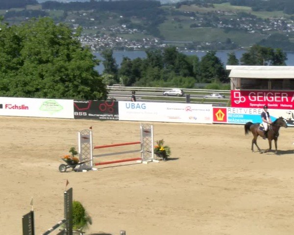 Reitturnier Wädenswil 2025