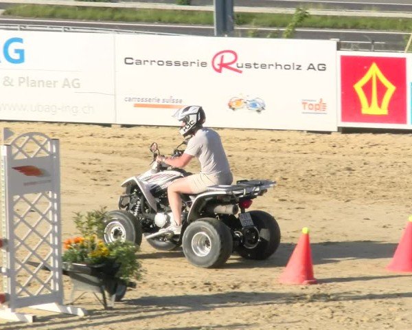 Reitturnier Wädenswil 2025