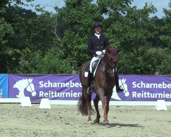 Reitturnier Scharnebeck 2025