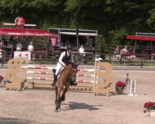 Reitturnier Klein Roscharden 2025