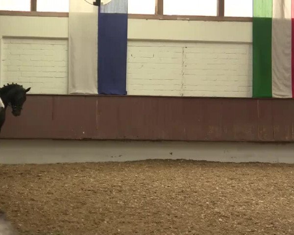 Eröffnung der grünen Saison Bottrop 2014
