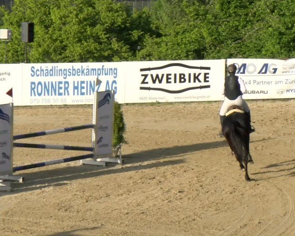 Reitturnier Wädenswil 2025