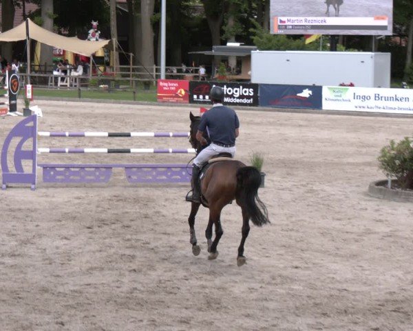 Reitturnier Klein Roscharden 2025