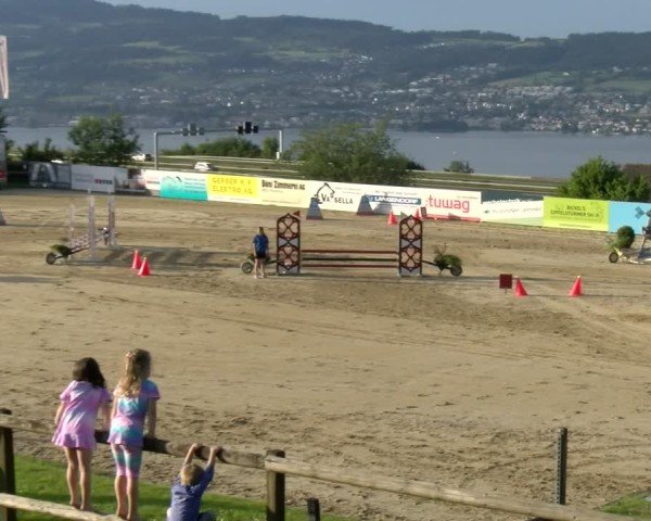 Reitturnier Wädenswil 2025