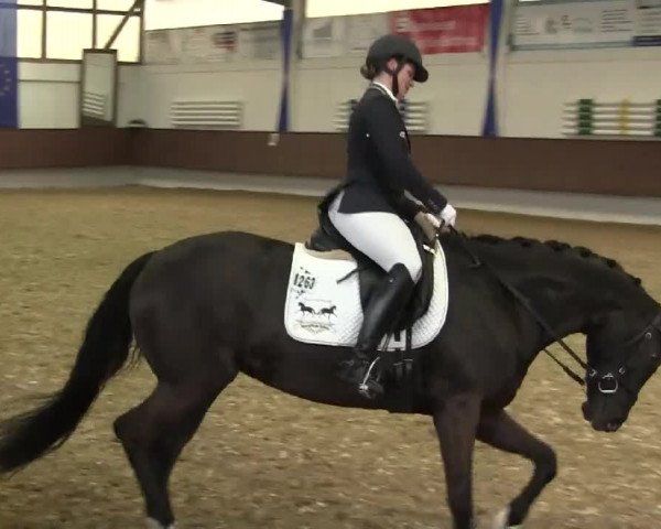 Eröffnung der grünen Saison Bottrop 2014