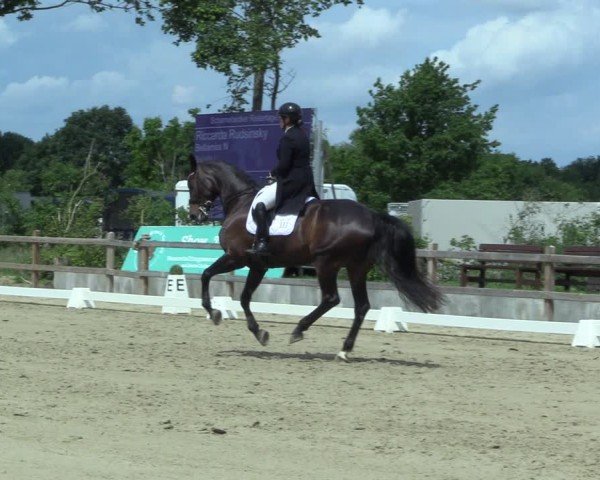 Reitturnier Scharnebeck 2025