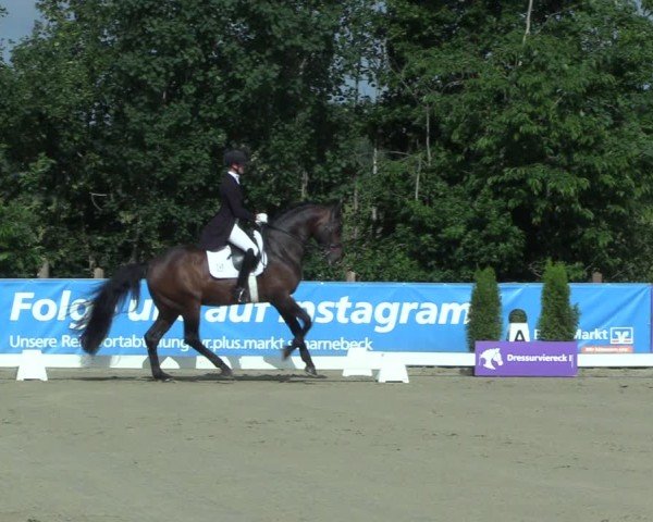 Reitturnier Scharnebeck 2025