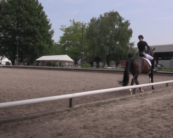 Reitturnier Hamm-Rhynern 2025