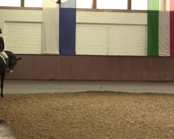 Eröffnung der grünen Saison Bottrop 2014