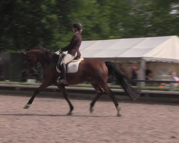 Reitturnier Hamm-Rhynern 2025