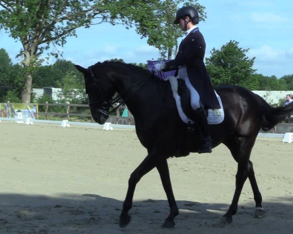 Reitturnier Scharnebeck 2025
