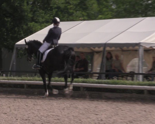 Reitturnier Hamm-Rhynern 2025