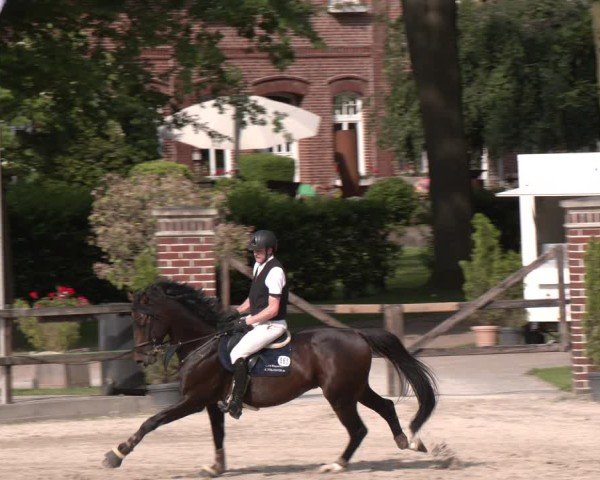 Reitturnier Klein Roscharden 2025