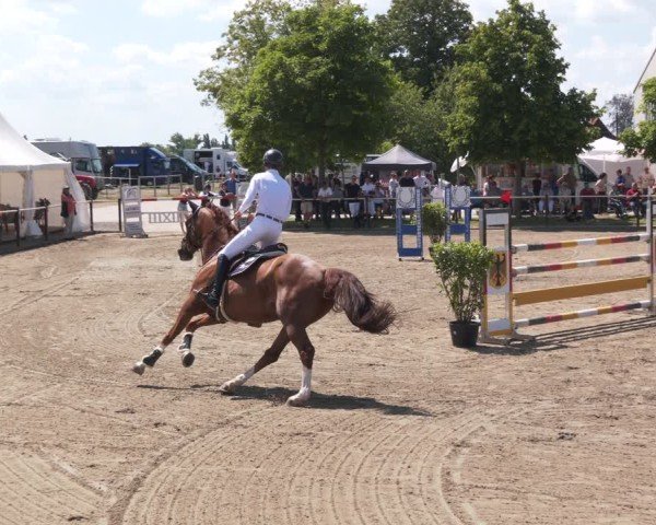 Reitturnier Kitzscher / Reitanlage Heuter 2025