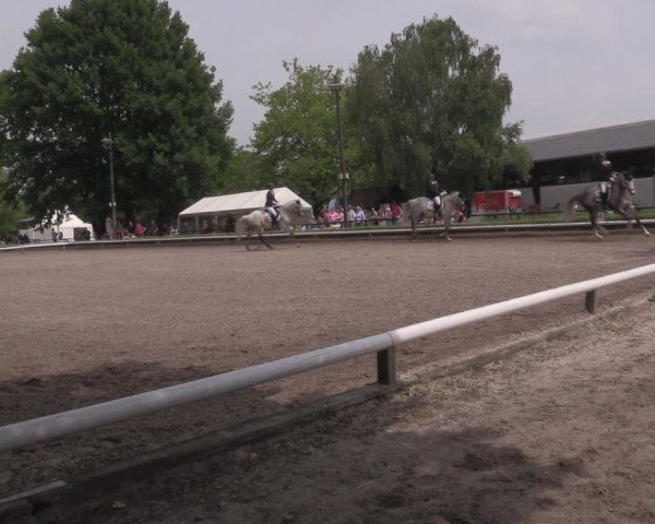 Reitturnier Hamm-Rhynern 2025