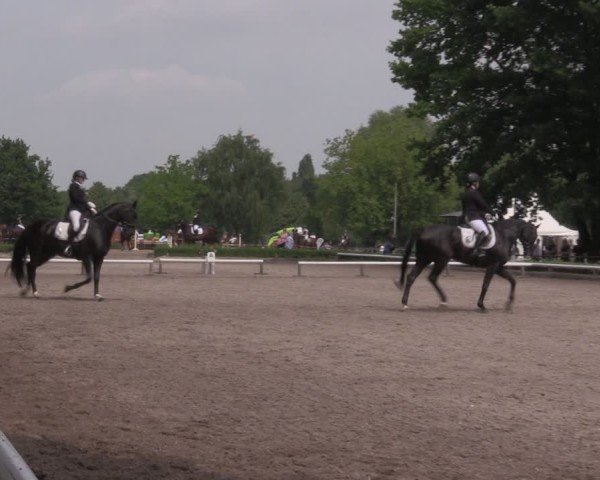 Reitturnier Hamm-Rhynern 2025