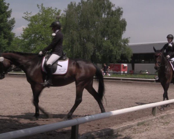 Reitturnier Hamm-Rhynern 2025