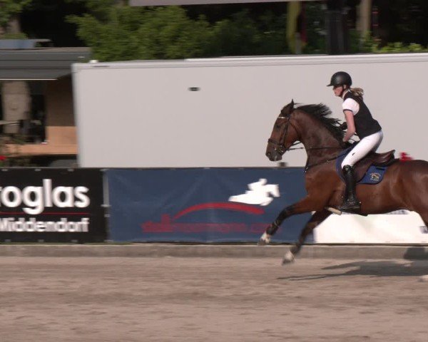 Reitturnier Klein Roscharden 2025