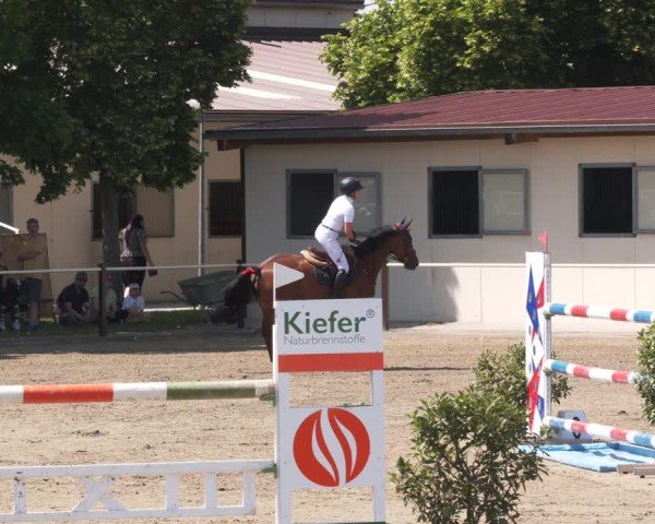 Reitturnier Kitzscher / Reitanlage Heuter 2025