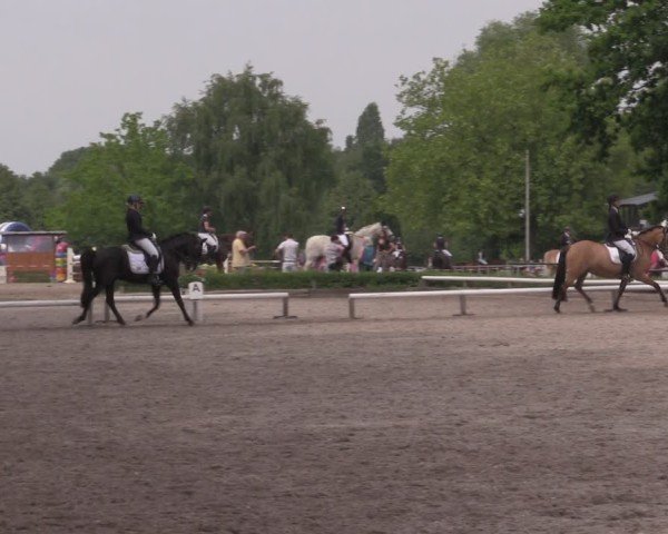 Reitturnier Hamm-Rhynern 2025
