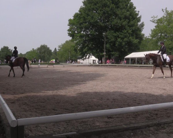 Reitturnier Hamm-Rhynern 2025