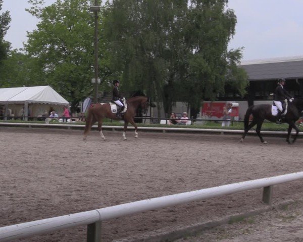 Reitturnier Hamm-Rhynern 2025