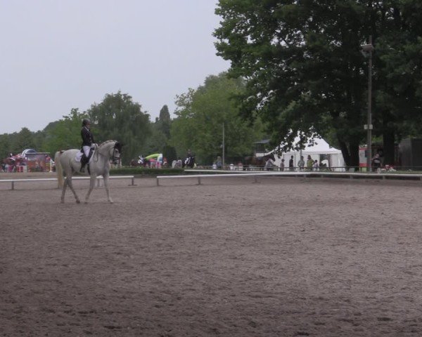 Reitturnier Hamm-Rhynern 2025