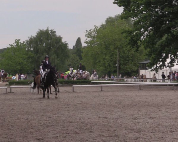 Reitturnier Hamm-Rhynern 2025